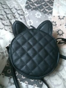 Trendy Cat Bag For Women